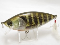 Real gill