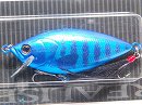 Blue tiger (Member limited color)