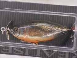 Diamond shad (2010 member limited color)