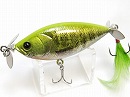 Visible real gill (2009 member limited color)