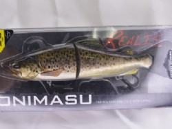Brown trout ND