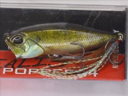 Real gill 2 ND