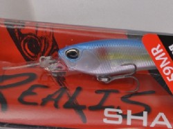 Blue back shad