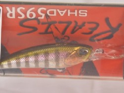 Prism gill