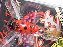 Tentoumushi (Ladybug)