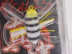 Zebra bug