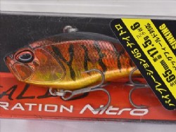 Burning tiger (Rattle model)