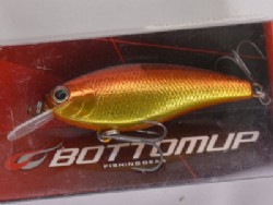 Burning shad