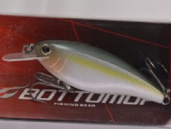 Sexy shad
