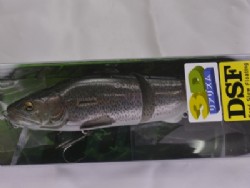 Rainbow trout (#297)