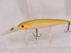 Albino fish