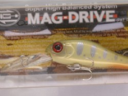 Albino fish