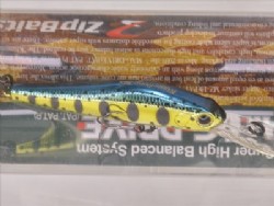 Gold / green back yamame