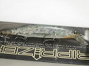 White abalone (#143) (Abalone model)
