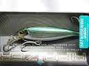 Kibinago shiner (#148)