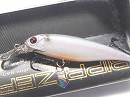 Silver shiner (#117)