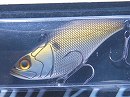 Mat breed shad (Non rattle)