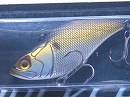 Mat breed shad (Non rattle)