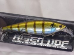 Blue gill (#01)