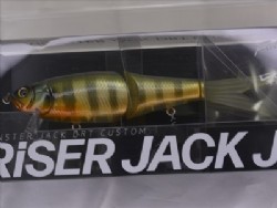 Tsuburoko gill (2022 Tsuburoko cub limited)