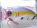 Sunburst shad