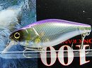 Purple shad (#066)