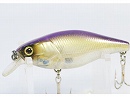 Purple shad