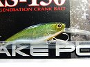 Green shad (#053)