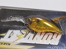 Gold scale shiner (#723)