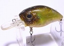 Ghost ayu (Rattle model)