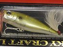 Golden shiner