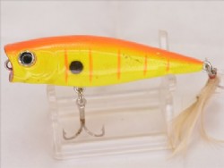 Orange tiger
