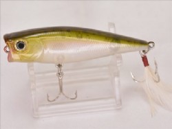 Laser ghost rainbow trout