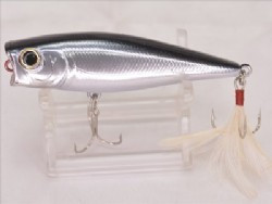 Silver minnow