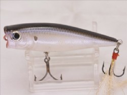 Tennessee shad