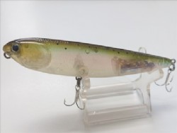 Rainbow trout