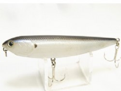 Tennessee  shad