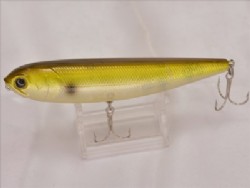 Golden shiner