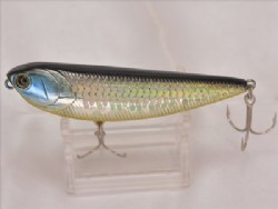 MS Japan shad