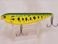 Tiger bass