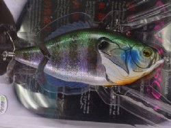 Brilliant green gill / Sparkle (#01)