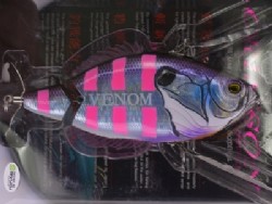Venom blue gill (#02)