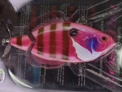 Monroe pink gill / Ghost (#04)