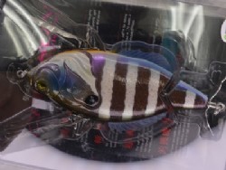 Glamorous purple gill ghost sparkle (#07)