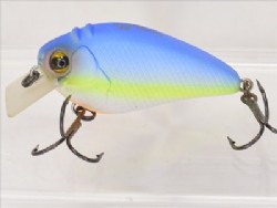 American blue shad