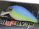 American blue shad (#261)