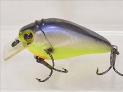 Bream