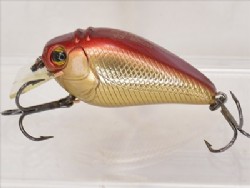 Red back gold