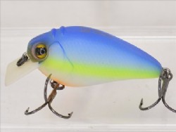 American blue shad