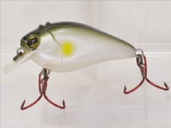 Imakatsu ayu